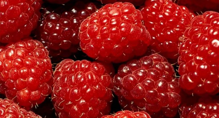 raspberries