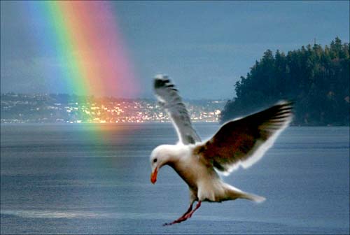 Tacoma 2, Postcards, Duncan James Livingston