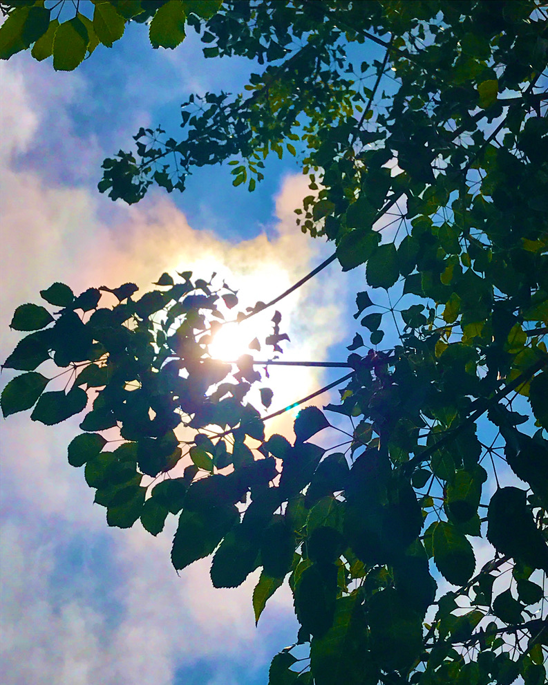 This image has an empty alt attribute; its file name is 3d6bf70f-3839-48a7-a833-d4d10d99d42c_1_105_c.jpeg